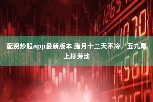 配资炒股app最新版本 腊月十二天不冷，五九尾上柳芽动