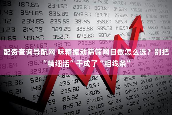 配资查询导航网 味精振动筛筛网目数怎么选？别把“精细活”干成了“粗线条”