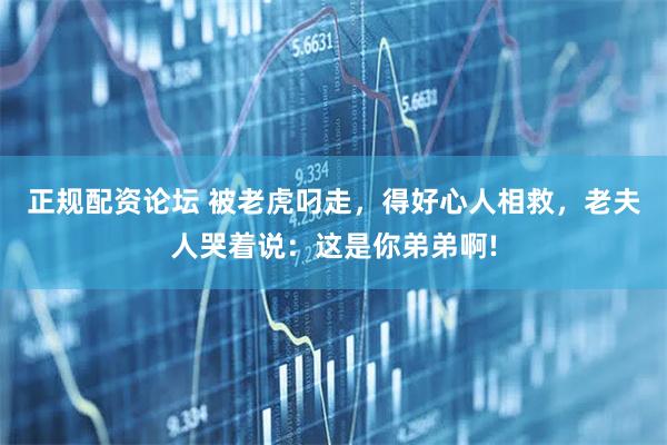 正规配资论坛 被老虎叼走，得好心人相救，老夫人哭着说：这是你弟弟啊!