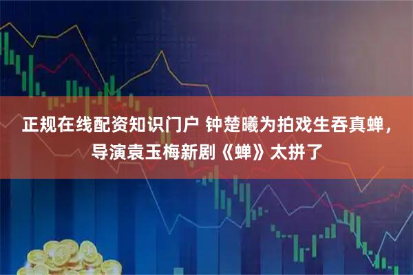 正规在线配资知识门户 钟楚曦为拍戏生吞真蝉，导演袁玉梅新剧《蝉》太拼了